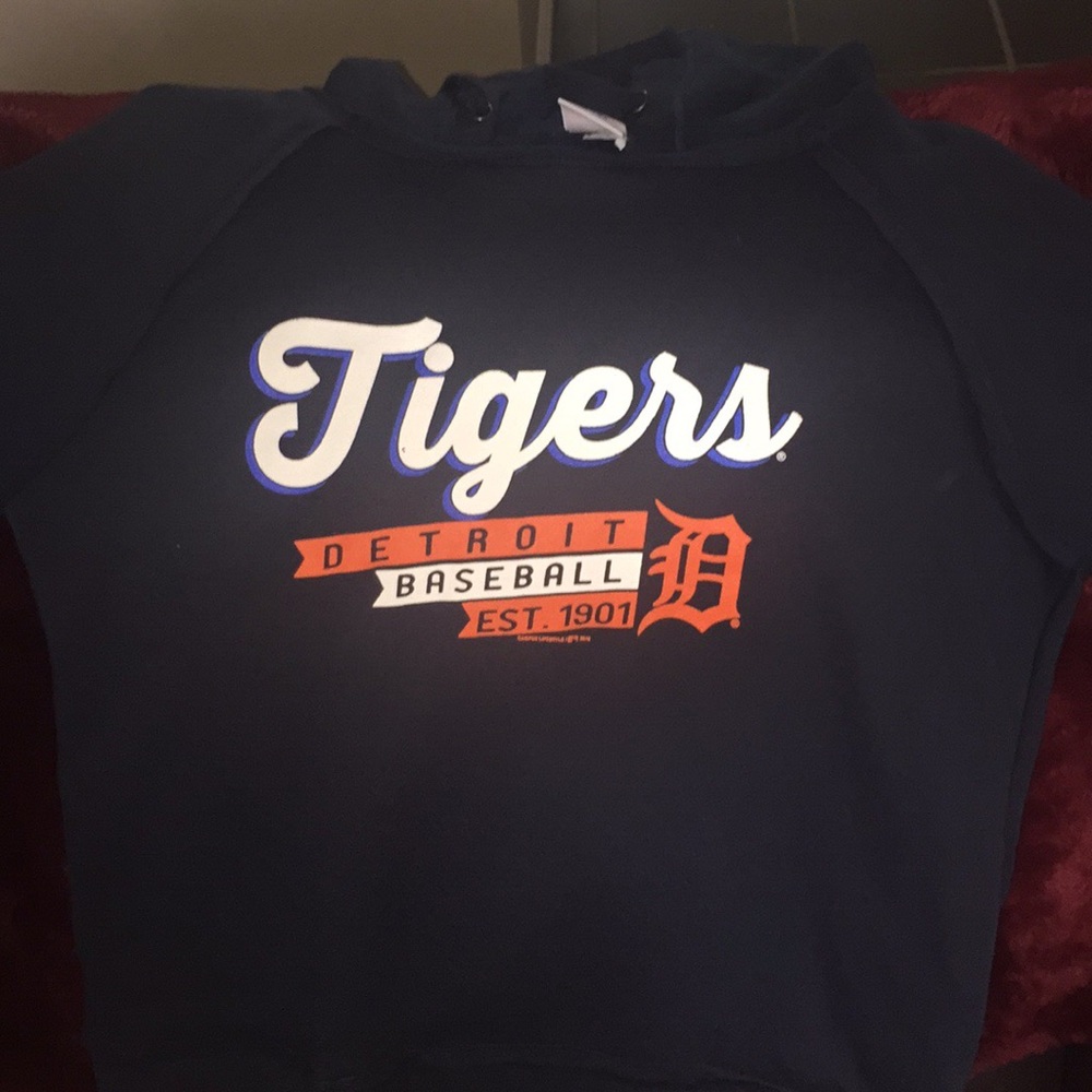 Detroit tigers hoodie